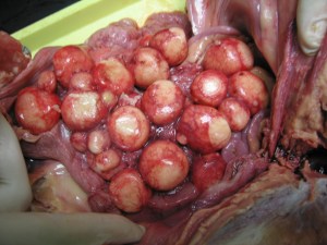 Eggs: full of bountiful promise and symbolism for the future.