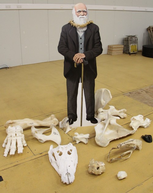Darwin amidst the bones