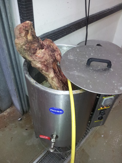 Cookin' up elephant shank