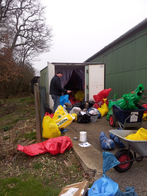 Freezersaurus gut contents being sorted.