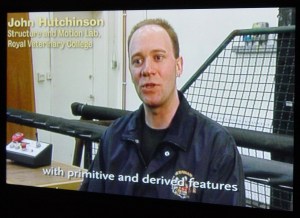 Me shortly after I moved to the RVC; video still frame from a dinosaur exhibit I was featured in. Embarassingly goofy pic, but I like the blurb at the bottom. It's all about the evolutionary polarity, baby!