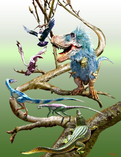 Dinosaur posture and body shape evolving up the evolutionary tree, with example taxa depicted.