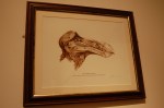 Framed sketch of dodo head at Tring exhibit.