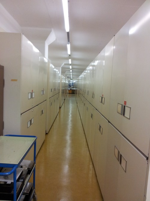 Inside the avian osteology collection at Tring. Sterlie at it might seem, places like this are  fertile breeding grounds for scientific discovery.