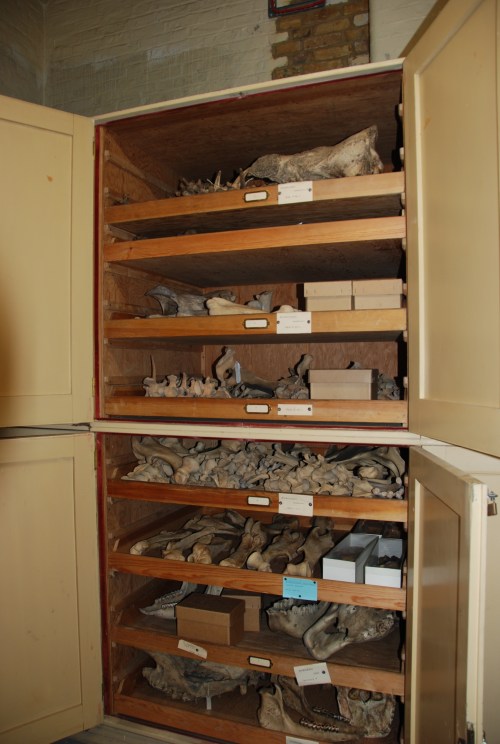 Hidden treasures abound!