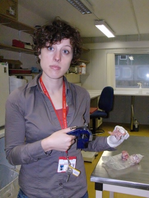 Julia w vertebra (480x640)