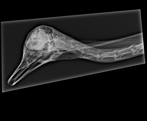 Another view of the same.