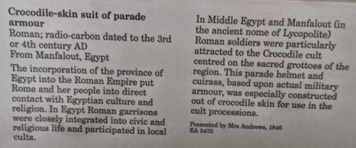 croc armour caption