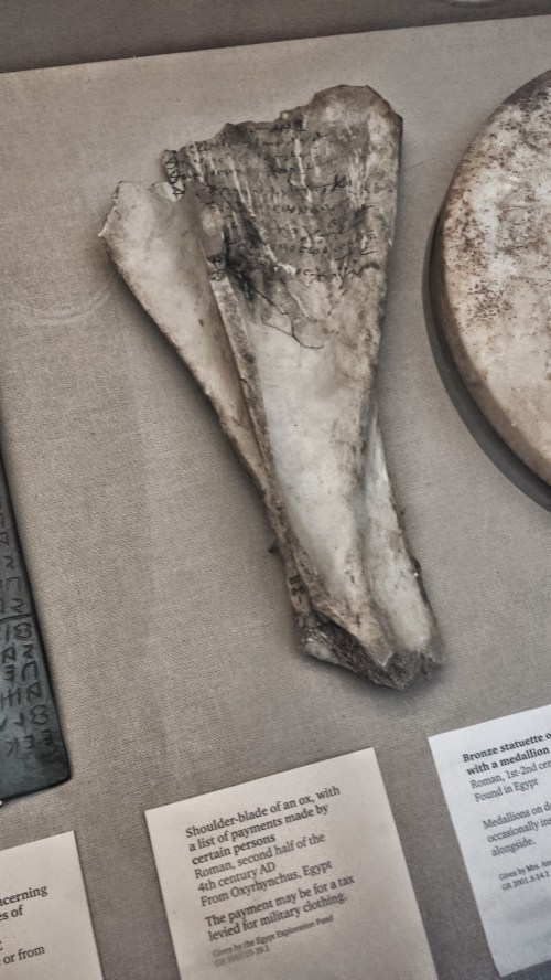 Scapula (shoulder blade) from an ox, from Roman Egypt. Click to embovine for closer examination and explantion.