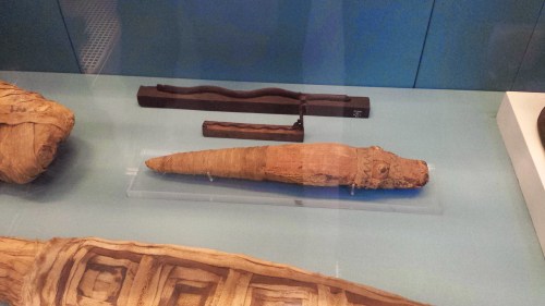 Small Nile crocodile mummy from >30 B.C, El Hiba, Egypt