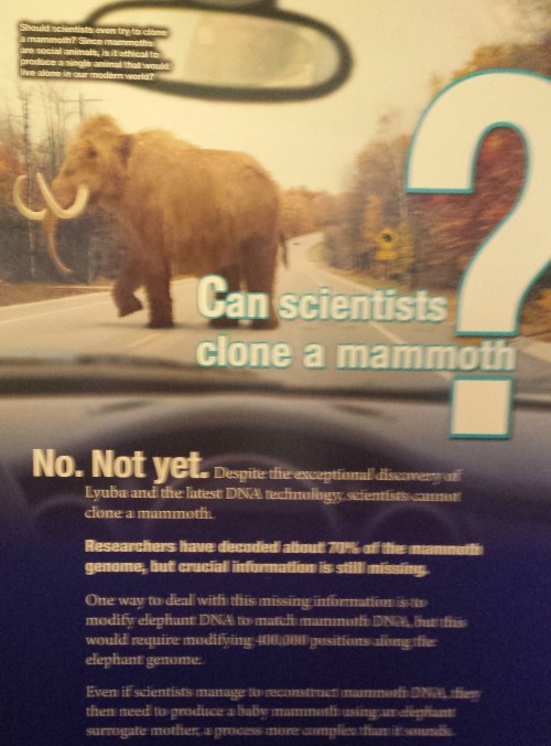 Answering an question the public may be wondering about: is the hype about cloning a mammoth very soon true? Nope. Well addressed, including what to me is the urgent question: would cloning a mammoth be ethical?