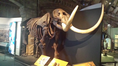 Mastodon skeleton!