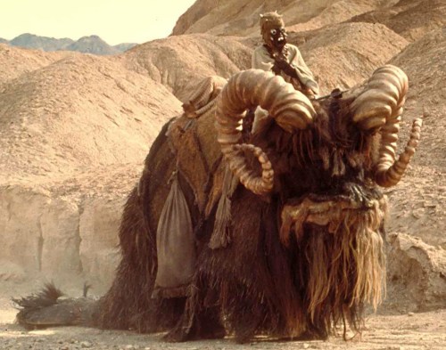 Convincing image of a Bantha being ridden by a Sand-Person, from your world's fake documentary "Star Wars Episode IV: A New Hope", from Lucasfilm/Twentieth Century Fox.