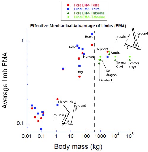 Effective mechanical advantage of the limbs, with Terran data for mammals (red+blue) (source 1 and source 2), and my new data for Tatooine megafauna. Past a moderate size, EMA either declines or remains constant. Once the limbs are fairly straight (near the size of a Terran horse), EMA cannot be much improved.