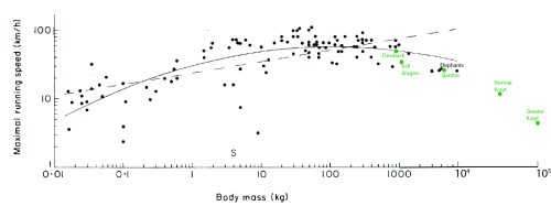 Maximal speed vs. body mass data from (black) Terran animals (source), and (green) Tatooine megafauna (plus non-native Kell dragons for comparison). As size increases past ~100 kg mass, speed inevitably declines.