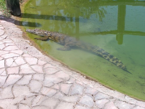 Another subject awaits science.