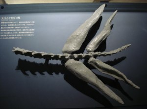 Thagomizer.