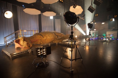 Edwina revealed!
(photo credit: National Geographic Channels/Stuart Freedman)