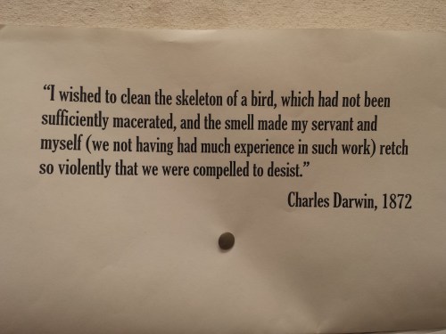 Yet another reason why Darwin kicks ass.