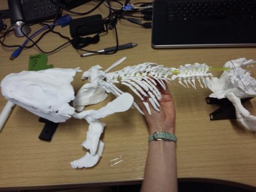 Ichthyostega 3D print is ready!