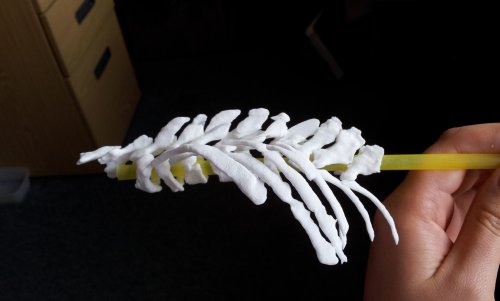Ichthyostega 3D printed backbone is born!