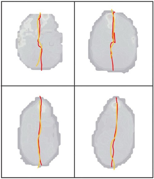 African elephant foot COP traces vs. time in red; Asian elephant in orange. Left and right forefeet above; hindfeet below.