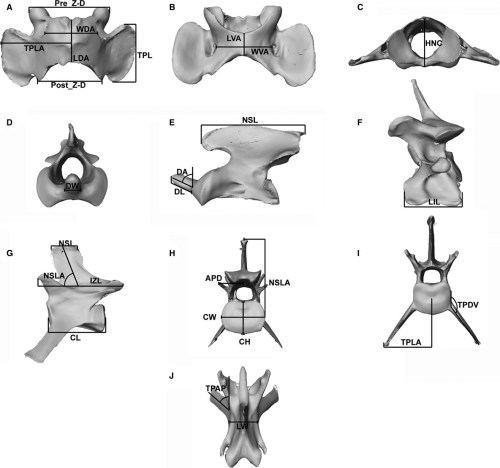 fig2-randau-measurements